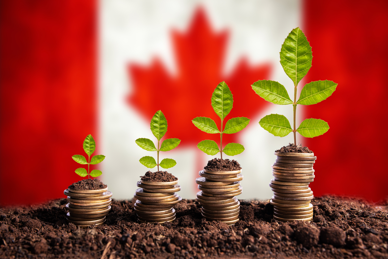 Economy Canada concept finance money is born in soil on plant with coins for successful investment, flag background